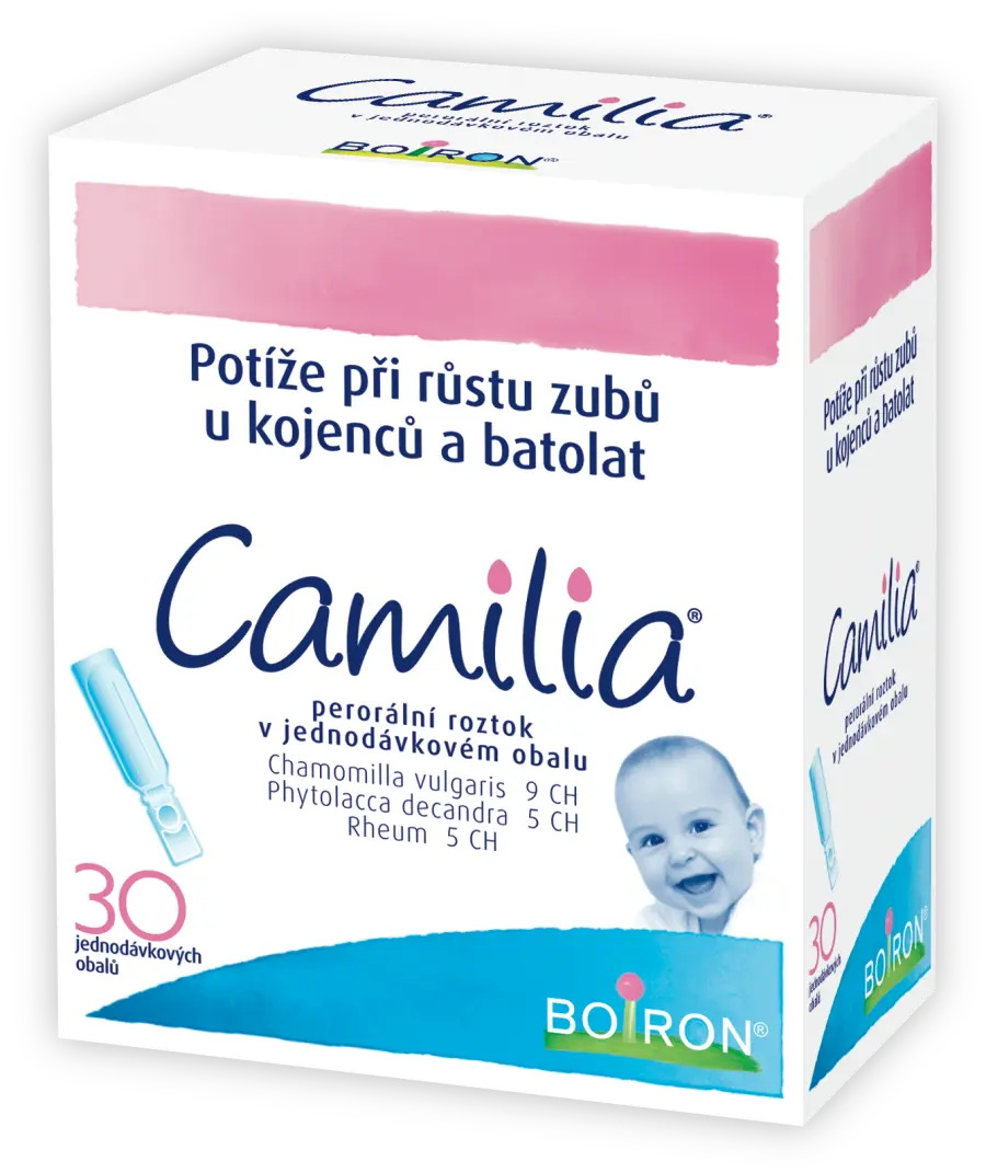 8031_3D CAMILIA30 P (RGB)